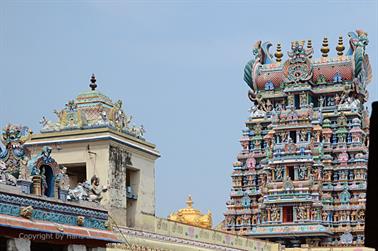 Meenakshi Temple, Madurai,_DSC_8156_H600